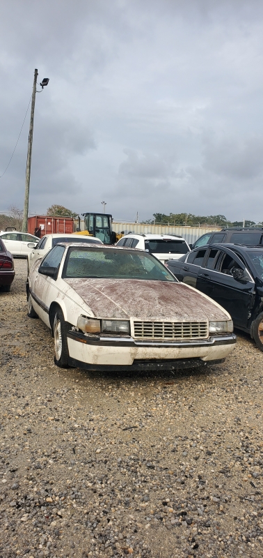 Elmira PD vehicle auction live with 10 vehicles available